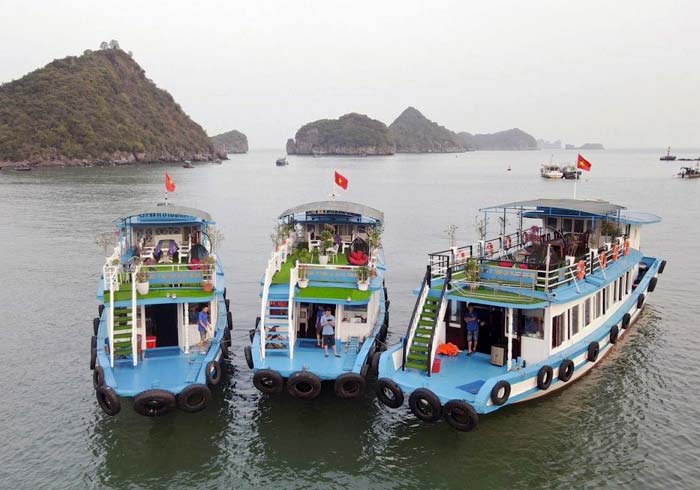 Tầu thăm vịnh lan hạ 1 ngày