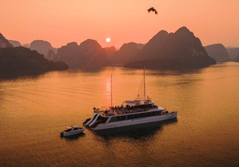 Tour vịnh Lan Hạ nửa ngày